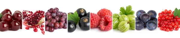 Fruits — Stock Photo, Image