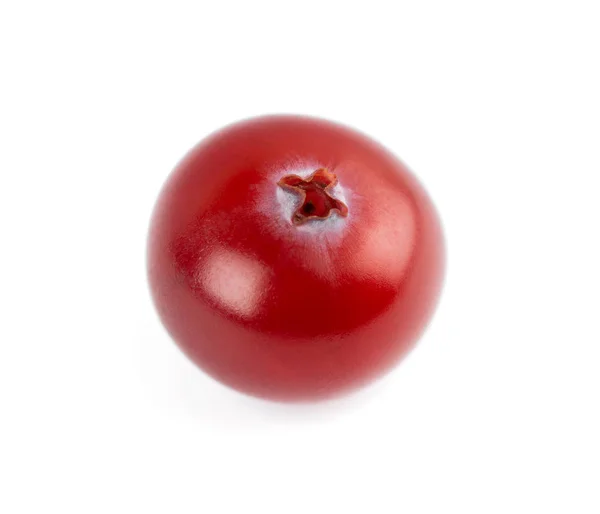 Cranberry — Stock Photo, Image