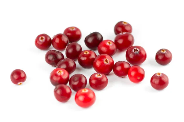 Cranberry — Stock Photo, Image