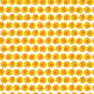 Seamless modeli güzel sarı çiçek