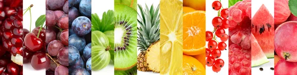 Collection of fruits — Stock Photo, Image