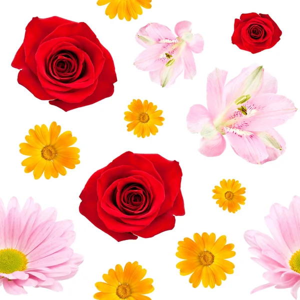 Nahtloses Muster schöner Blumen — Stockfoto