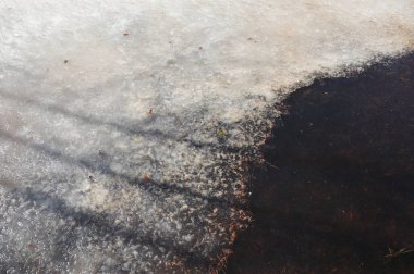 Ormandaki yere su birikintisi bahar başında oluşan ile tezcan.