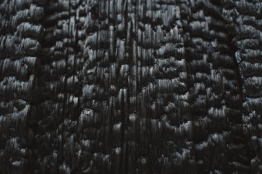 kömürleşmiş ahşap duvar.