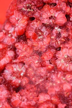 taze dondurulmuş ahududu