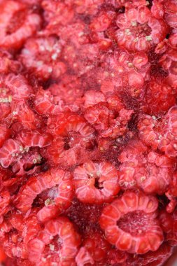 taze dondurulmuş ahududu