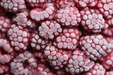 Yemek arkaplanı. Taze donmuş ahududu, dondurucu soğukta sulu bir buz parçasına dönüştü..