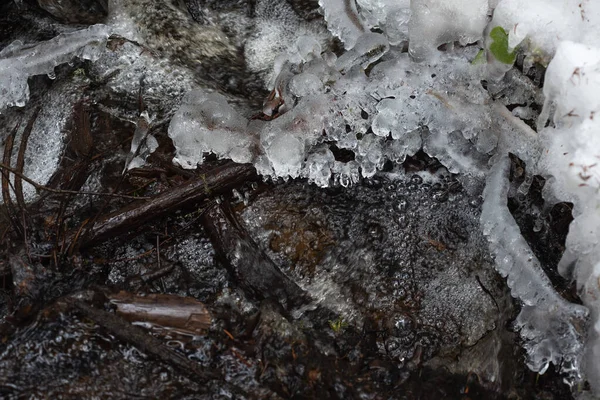 Швидкий Потік Весняного Лісового Потоку Замерзлими Краплями Опалих Гілках — стокове фото