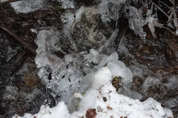 Flusso Rapido Ruscello Foresta Primavera Con Gocce Congelate Rami Caduti — Foto Stock