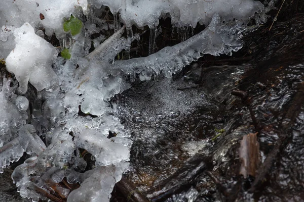 Rapid Flow Spring Forest Stream Frozen Drops Fallen Branches — Stock Photo, Image