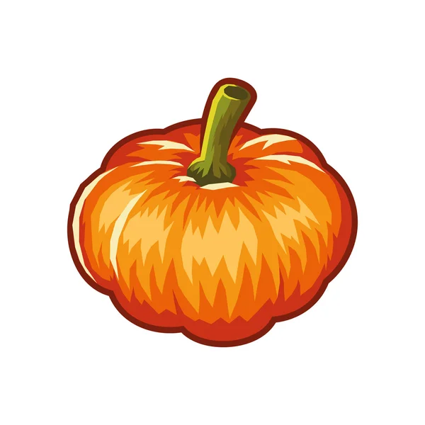 Calabaza aislada en blanco. Estilo de diseño plano. Vector — Archivo Imágenes Vectoriales