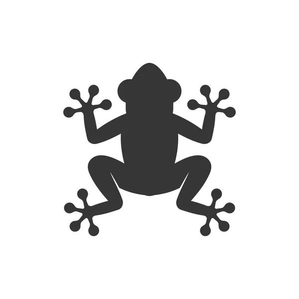 Frog Icon Logo em fundo branco. Vetor — Vetor de Stock