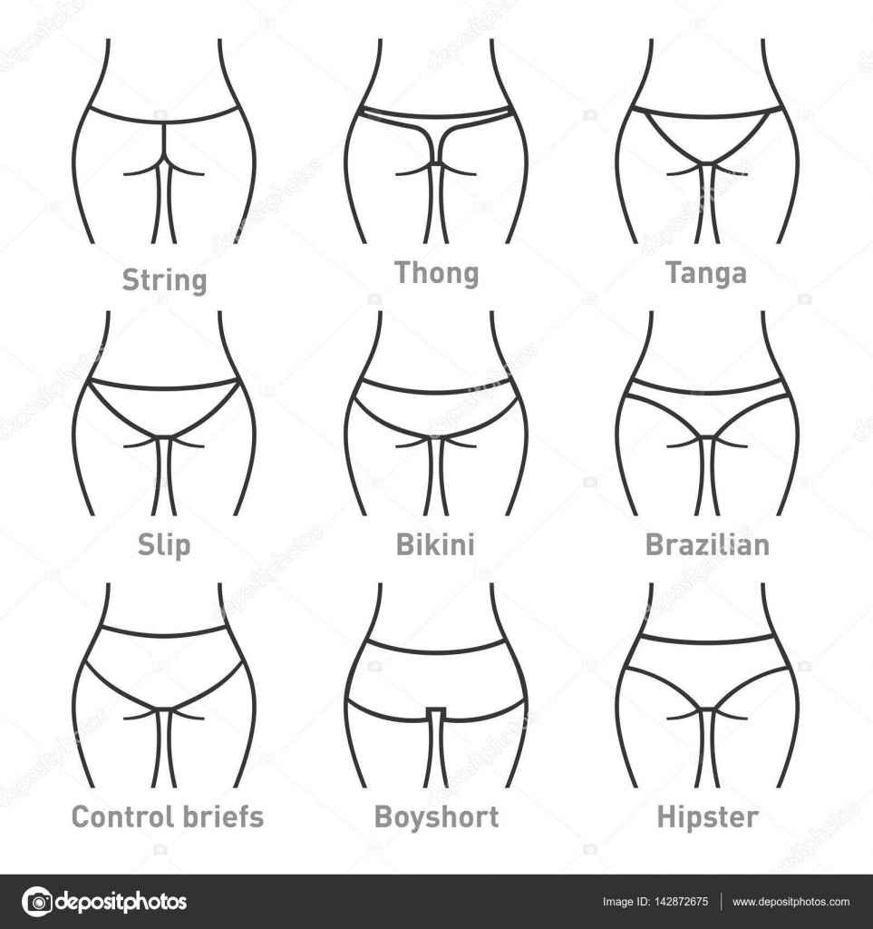 Woman underwear panties types. Vector Stock Vector by ©in8finity 142872675