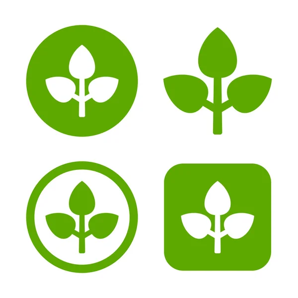 Conjunto de logotipo de hoja verde. Eco Signo. Vector — Vector de stock