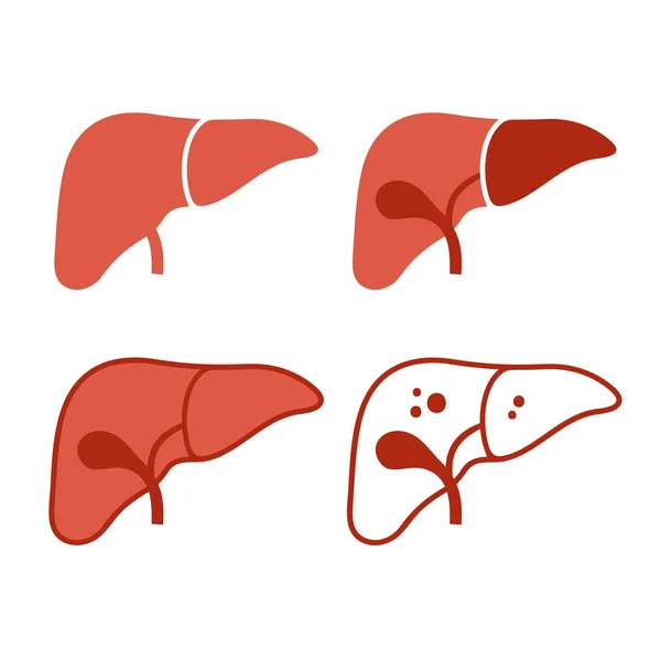 Liver Icon Set on White Background. Vector — Stock Vector