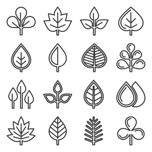 Leaf Icons Set on White Background. Line Style Vector — 스톡 벡터