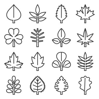 Leaf icons set on White Background. Line Style Vector