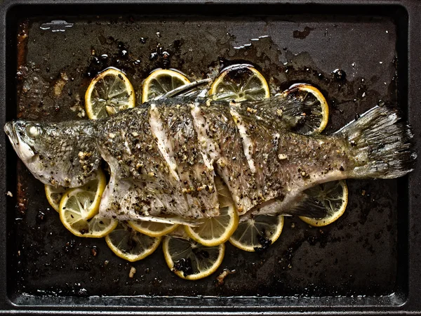 Rustic baked fish — Stock Photo, Image