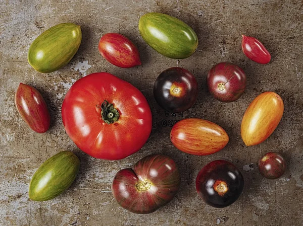 Сільський реліквія помідор — стокове фото
