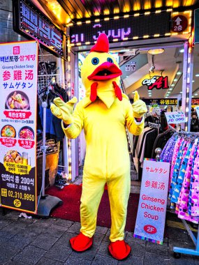 Ginseng tavuk çorbası sho p maskot