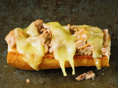 rustik Amerikan ton balıklı sandviç eritmek