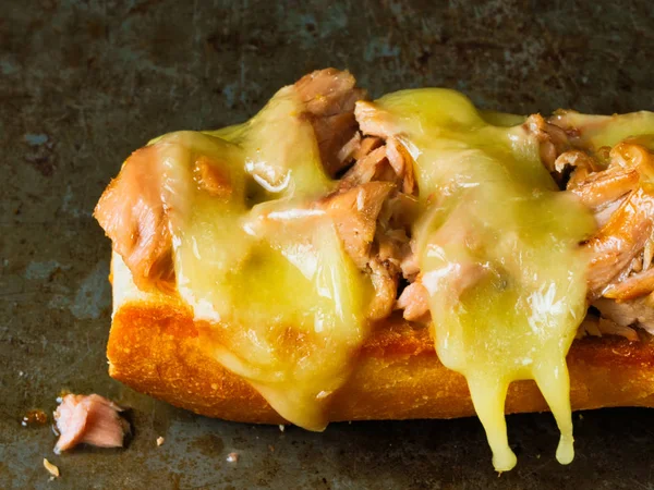 Американский сэндвич с тунцом — стоковое фото