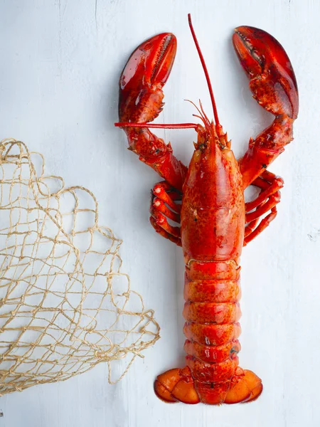 Rustic cooked lobster — Stock Photo, Image