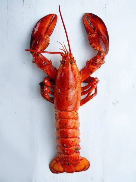 Rustic cooked lobster — Stock Photo, Image