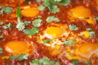 rustik Orta Doğu shakshuka Kahvaltı