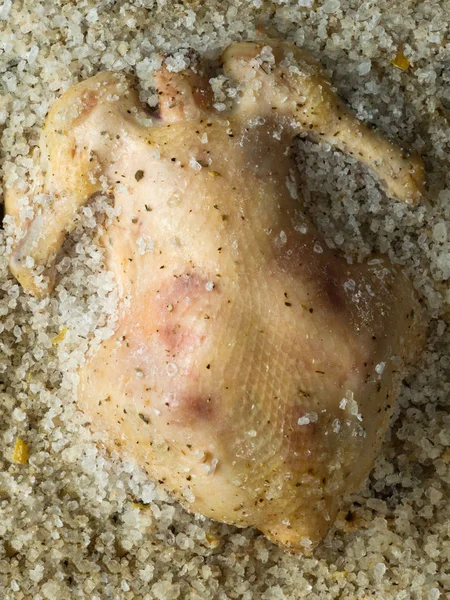Baked salt crust chicken — Stock Photo, Image