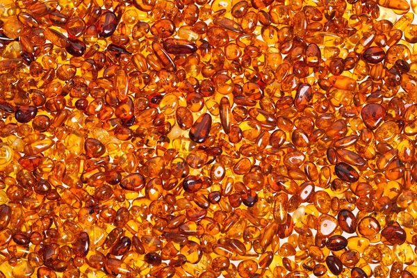 Dark yellow amber stones on a white background. — Stock Photo, Image