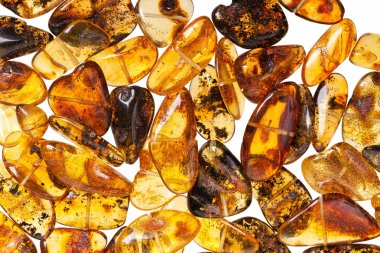 Beyaz zemin üzerine sarı kehribar taşı. 