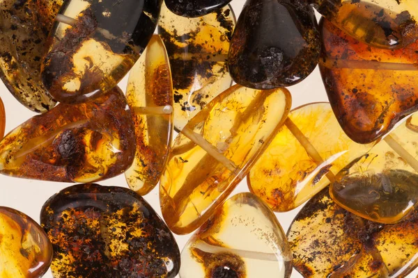 Yellow amber stones on a white background. — Stock Photo, Image