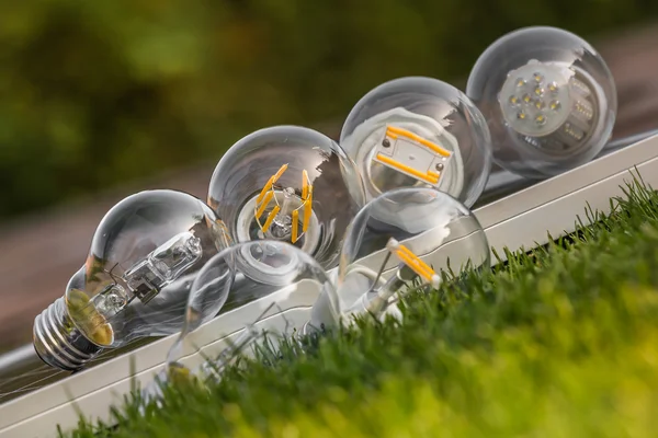LED, halogen and tungsten bulbs on solar panel, some on the gras — Stock Photo, Image