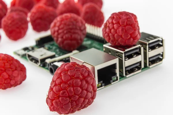 Many raspberries and circuit board with rj45, hdmi and usb conne — Stock Photo, Image