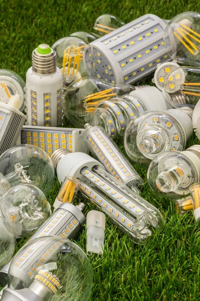 Family of eco LED bulbs of E27, G4, R7s, types Royalty Free Stock Photos