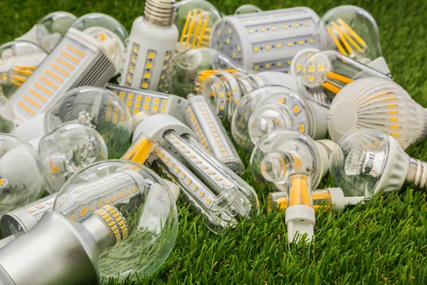 Big family of ecco LED bulbs of various types — Stock Photo, Image