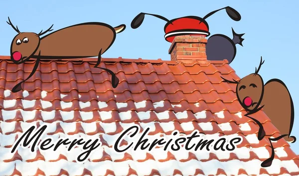 Χριστουγεννιάτικη κάρτα - Άγιος Βασίλης στη στέγη και frigtened ταράνδου — Φωτογραφία Αρχείου