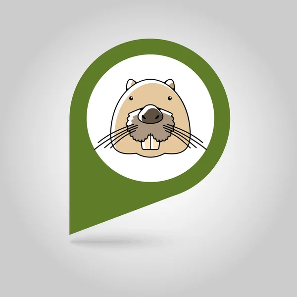 Otter castoro piatto icona mappa pin. Vettore della testa animale — Vettoriale Stock