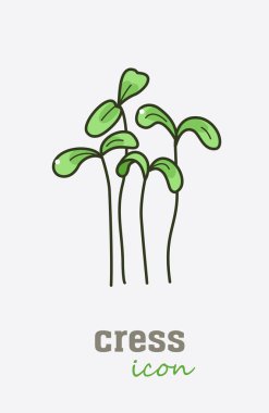 Garden cress vektör simgesi. Sebze yeşil yaprakları