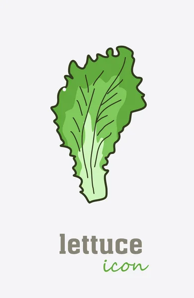 Icona del vettore della lattuga. Foglie verdi vegetali — Vettoriale Stock