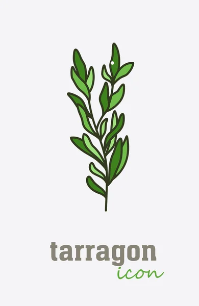 Estragon-Vektor-Symbol. pflanzliche grüne Blätter — Stockvektor