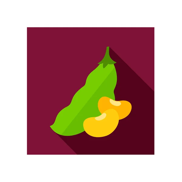 Haricots icône plate. Vecteur de légumes — Image vectorielle