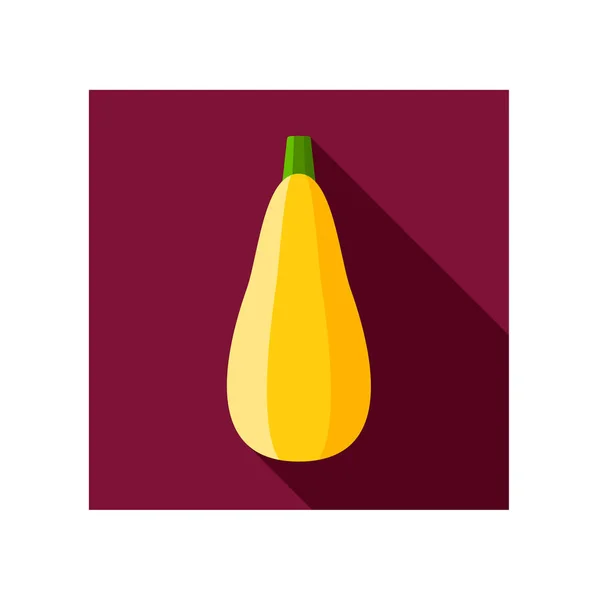 Zucchini flach Symbol. Vektorpflanze — Stockvektor