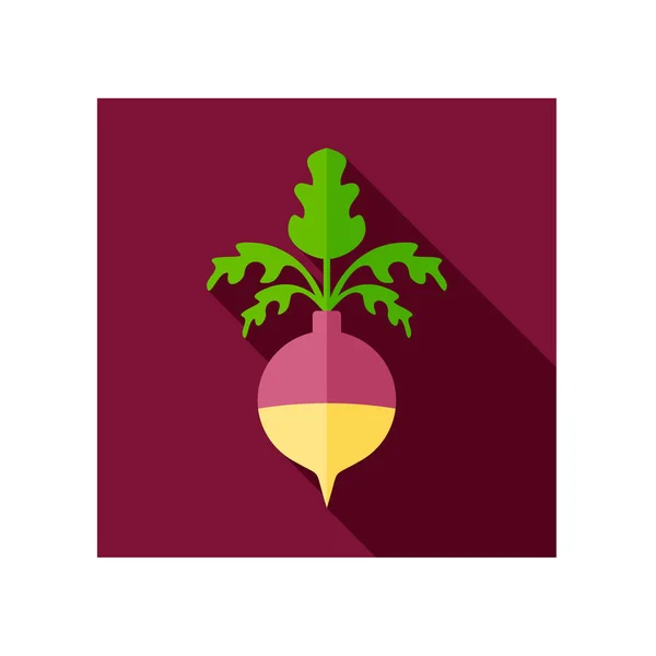 Rutabaga or Swede flat icon. Vegetable root vector — Stock Vector