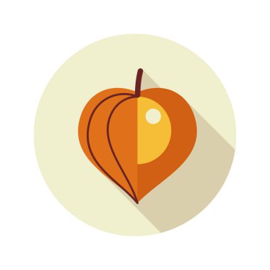 Physalis çilek düz simgesi. Sebze vektör
