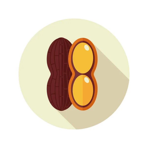 Icona piatta di arachidi. Vettore vegetale — Vettoriale Stock
