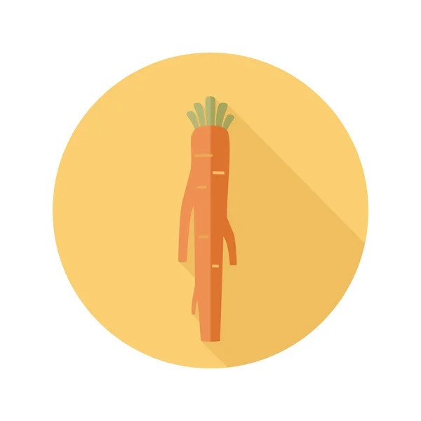 Raifort icône plate. Vecteur de racines de légumes — Image vectorielle