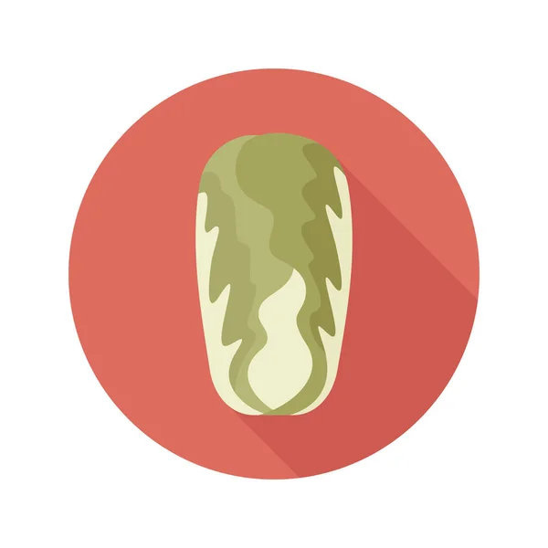 Chou chinois icône plate. Vecteur de légumes — Image vectorielle