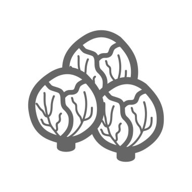 Brüksel lahanası simgesi anahat. Sebze vektör